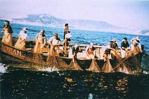 PO e- 472